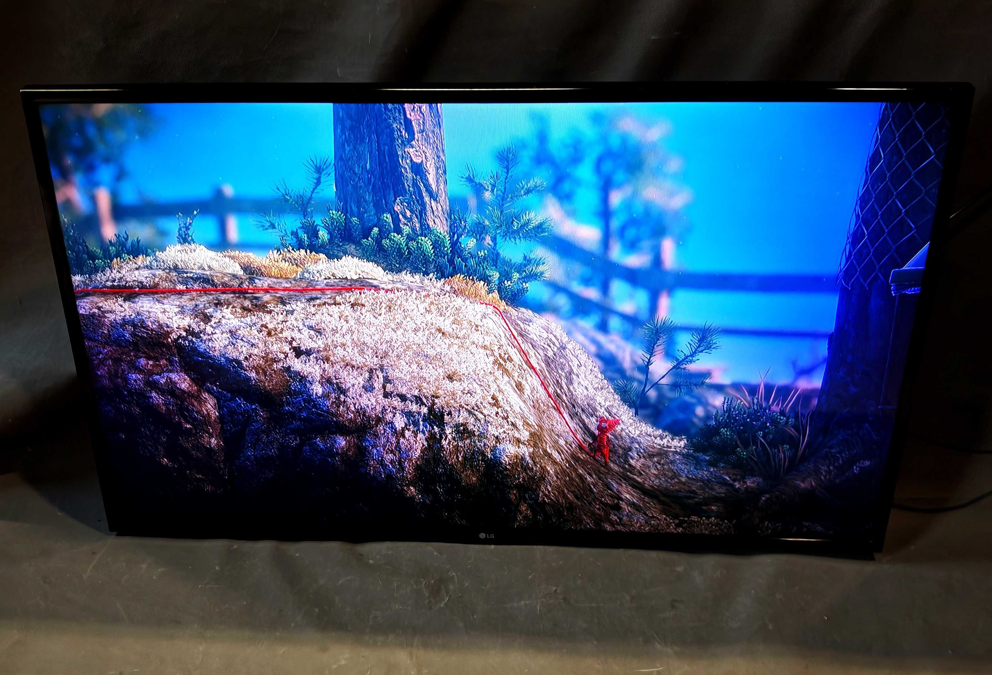 Smart TV LG 49' LED Pilot WiFi Netflix Youtube DVB-T2 Triple XD Engine