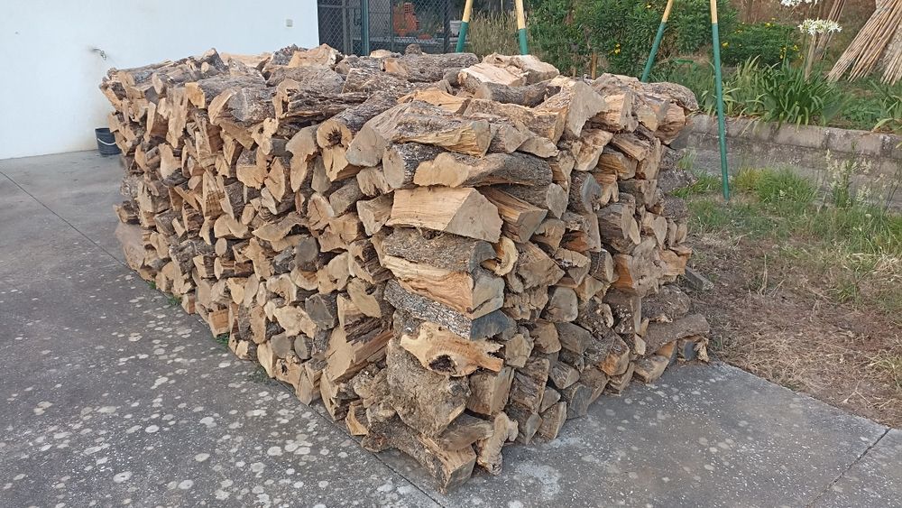 Lenha bem seca oliveira, eucalipto, etc