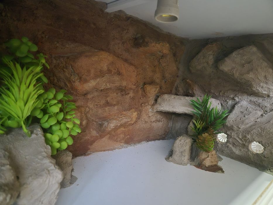 Nowe Gotowe Terrarium 80x40x40