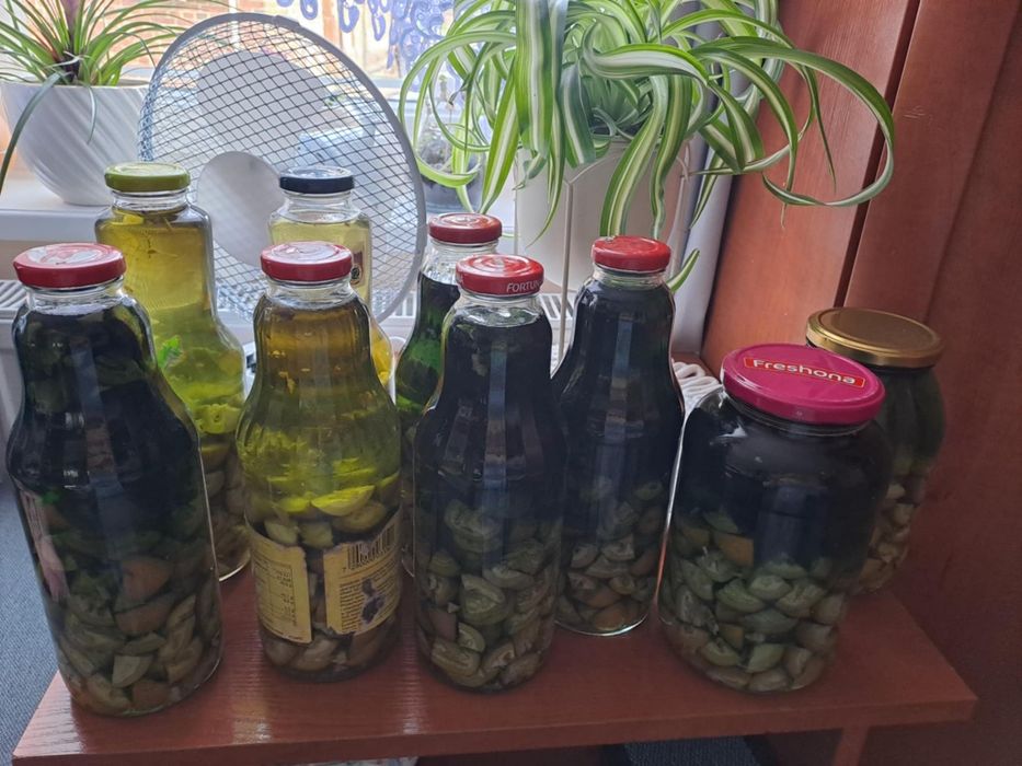 Wyciąg z orzecha włoskiego 100 ml
