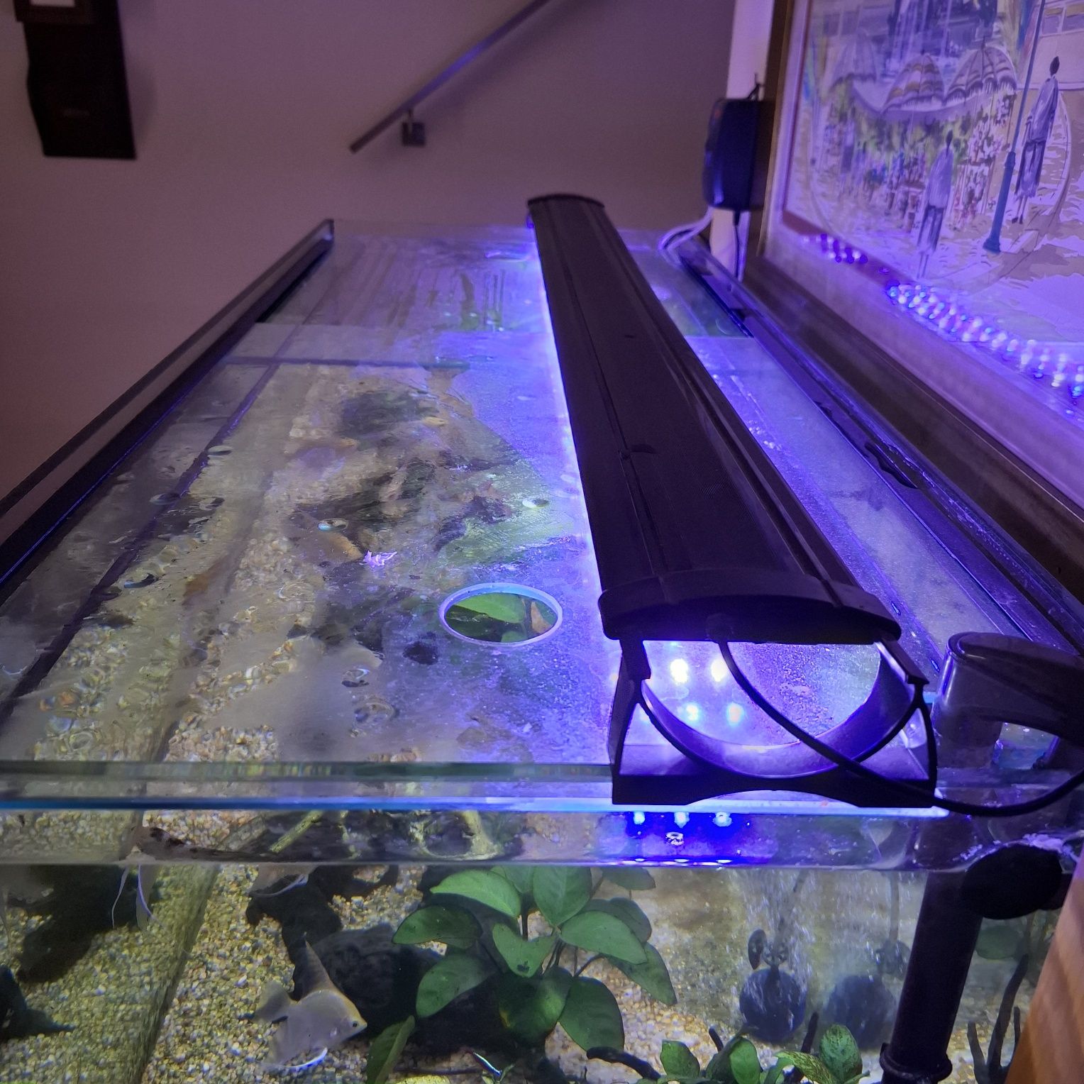 Aquario de 300 Lts, com movel