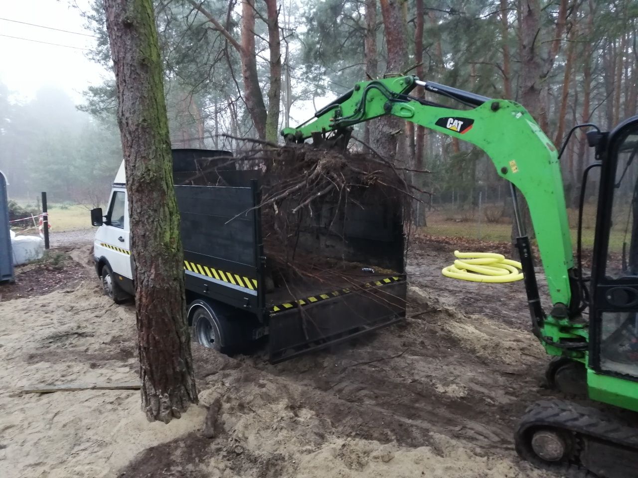 Wycinka pielęgnacja drzew rębak wynajem czyszczenie działek karczowani