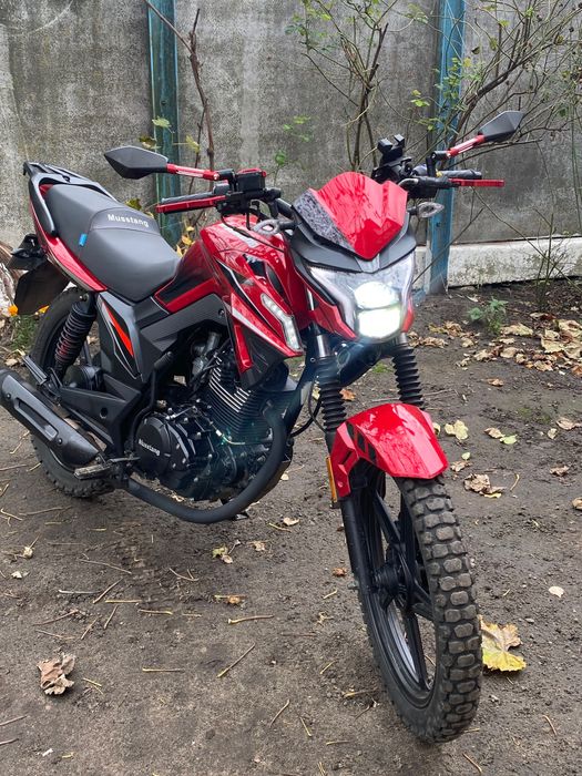 Мустанг фортуна 200