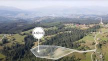 Земельна ділянка 4.63 га. в Яблуниці