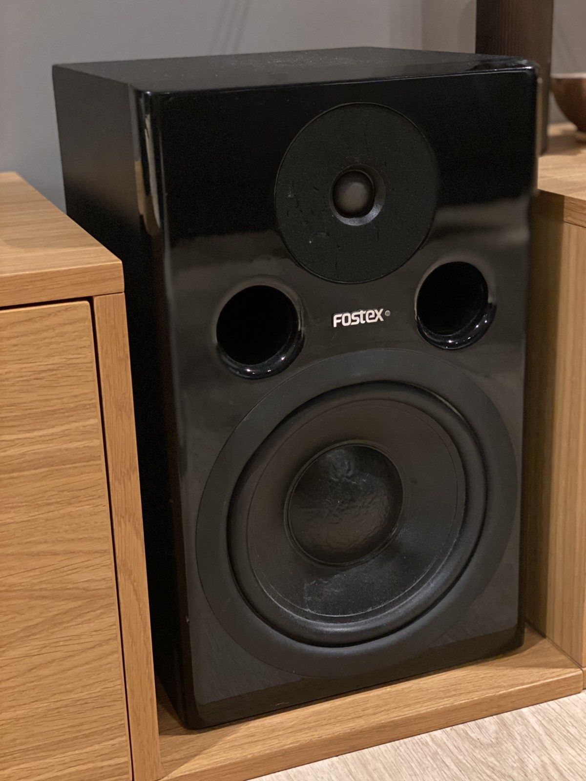 Fostex PM2 Mk2 активні монітори (пара)