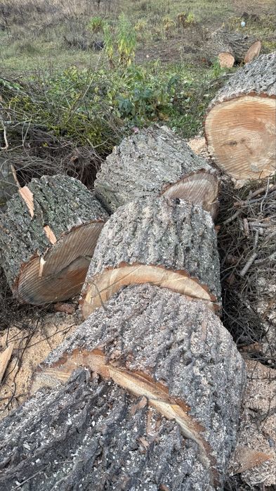 Продам дрова. Рославичі.