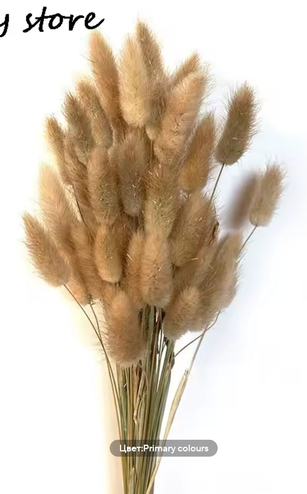 Букет из сухоцветов ,,Lagurus Ovatus,,
