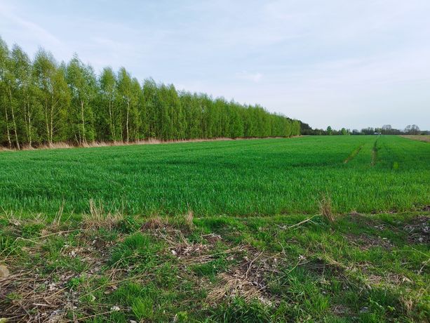 Działka 1 hektar Galewice pod inwestycje