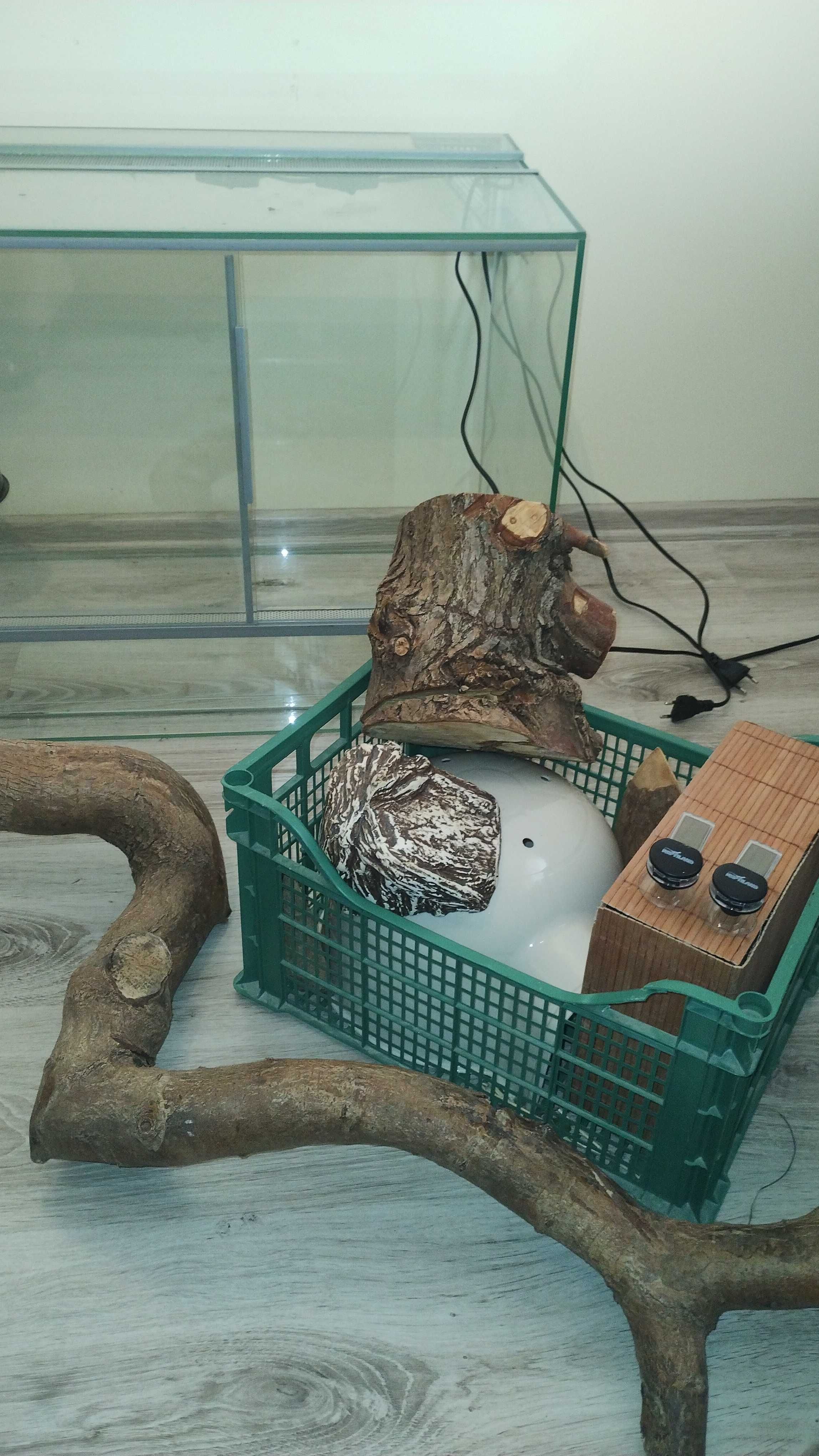 Terrarium z wyposażeniem