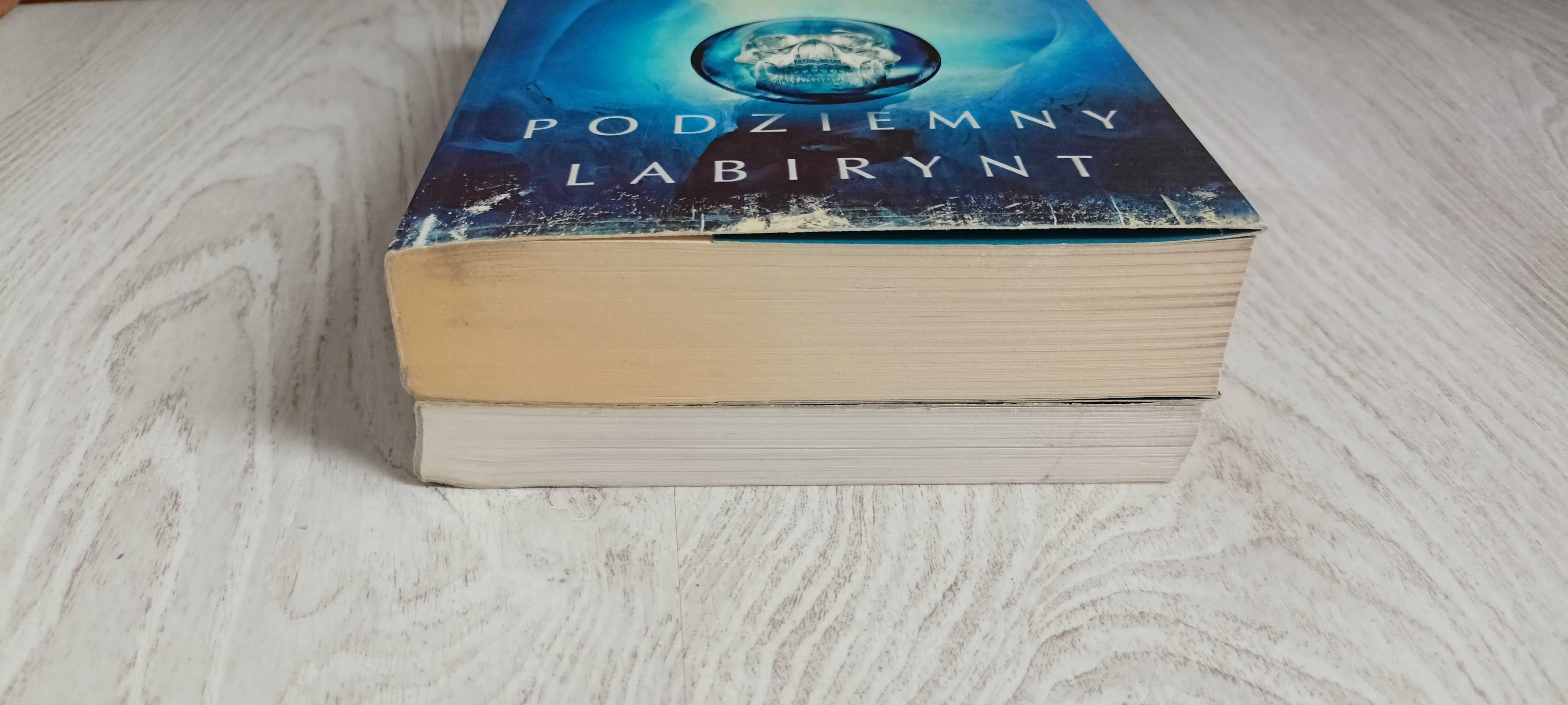 2x James Rollins Podziemny labirynt + Philipp Vandenberg Pompejańczyk