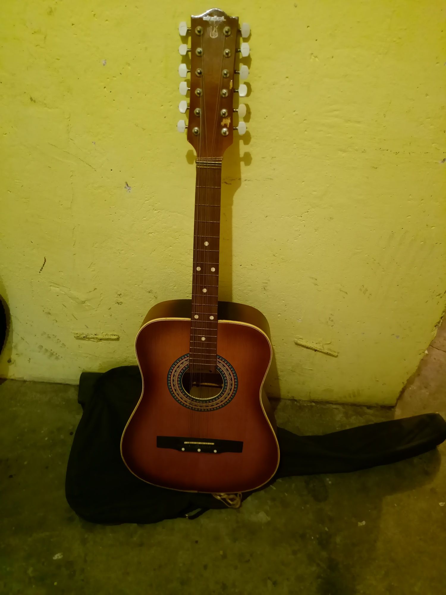 Gitara delfin 12 akustyczna