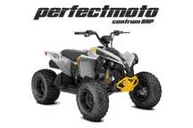 Can-Am Renegade STD 110 EFI Model 2025