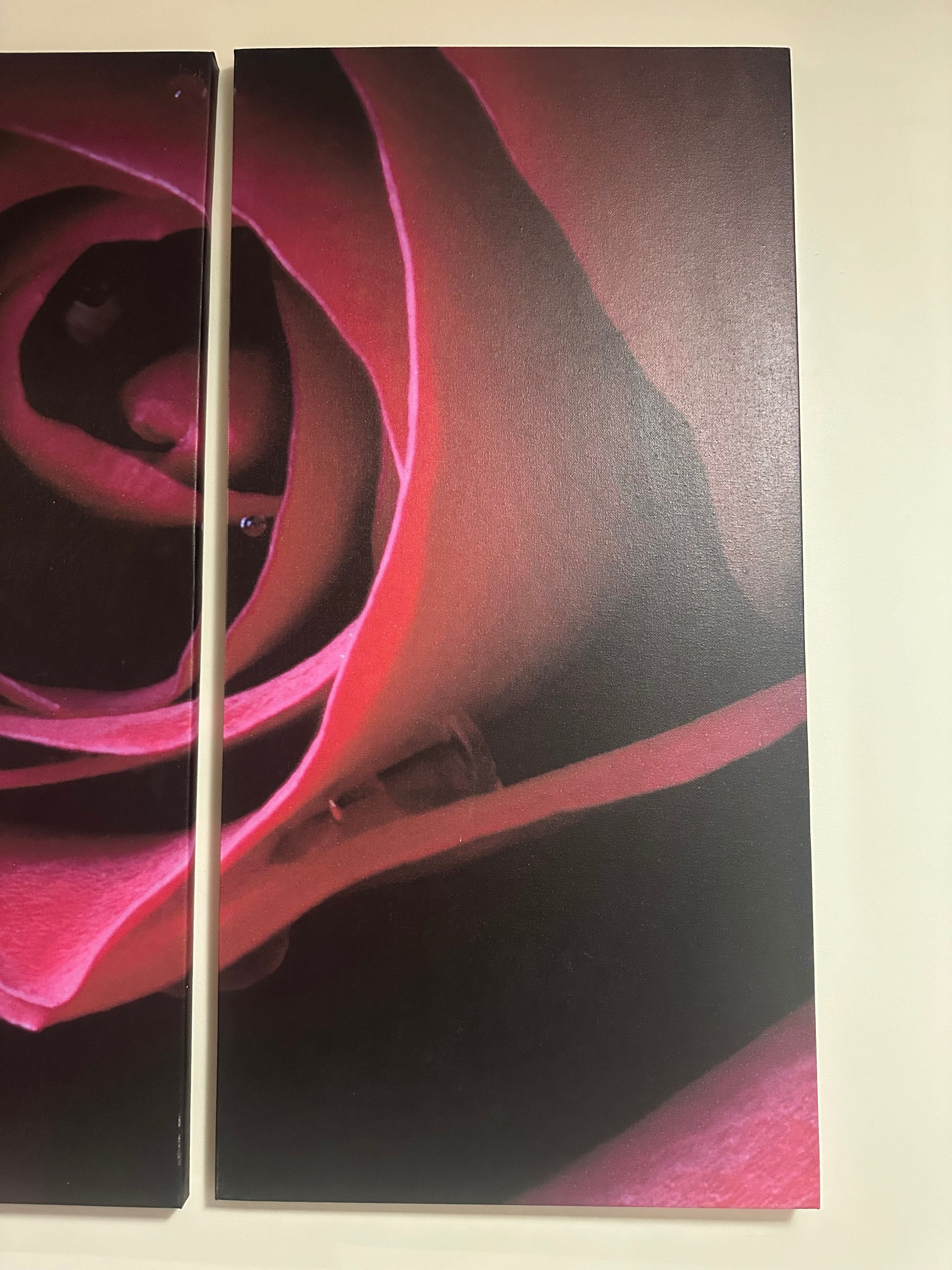 Obraz 3 częściowy róża