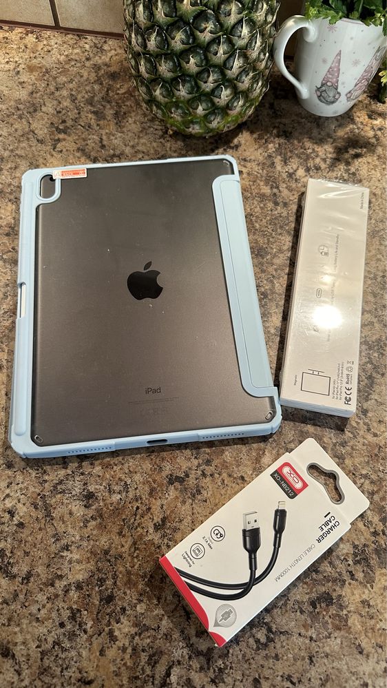 Tablet iPad Apple 10.5” iOS 18.5 - Touch ID - PROCREATE