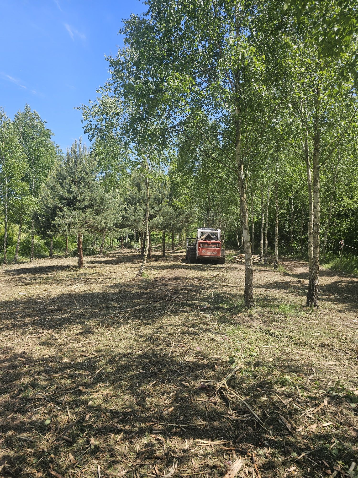 Mulczowanie, mulczer leśny, karczowanie.