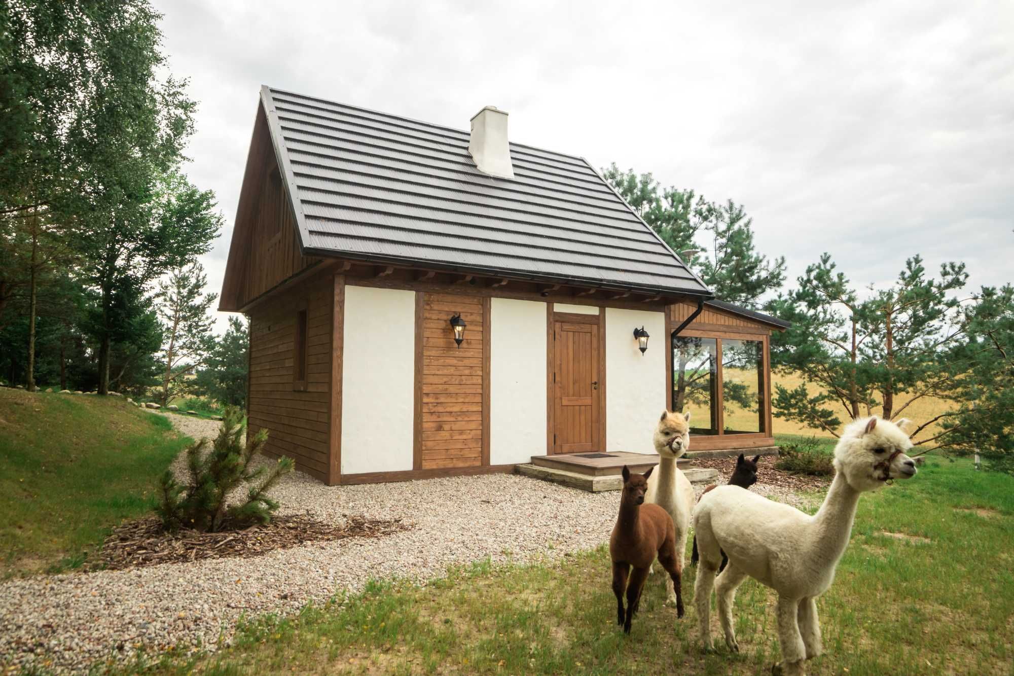 Domek z Alpakami na Kaszubach balia jacuzzi 8osób