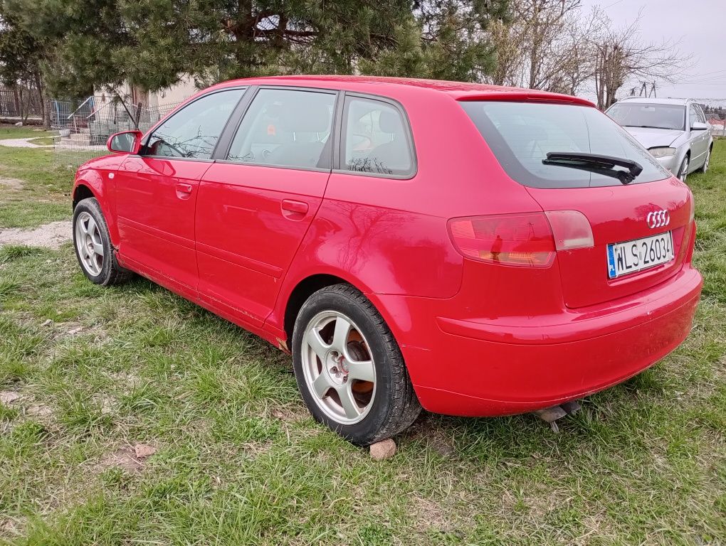 Audi A3. 8P   1.9 TDI .