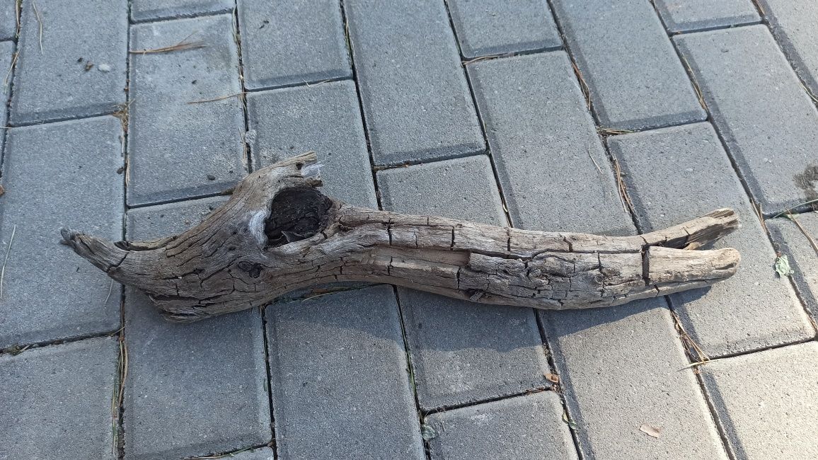 Korzeń do akwarium