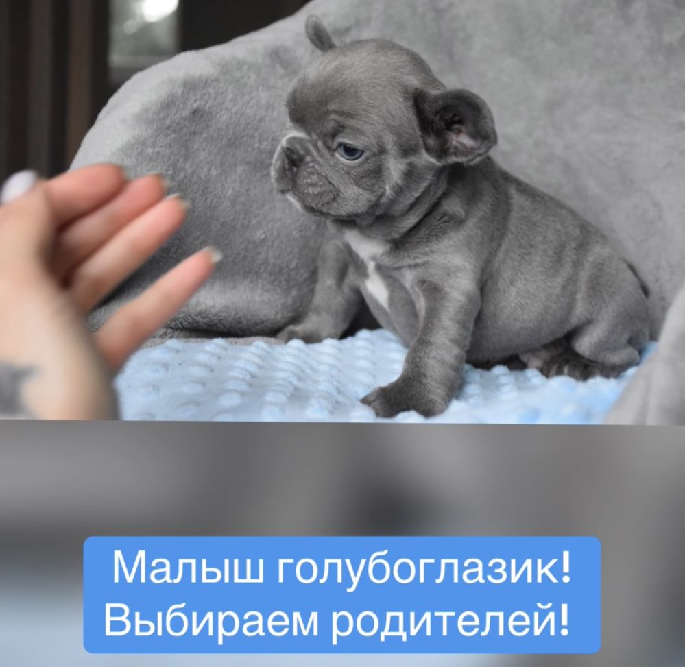 Мальчик голубой с голубыми глазками