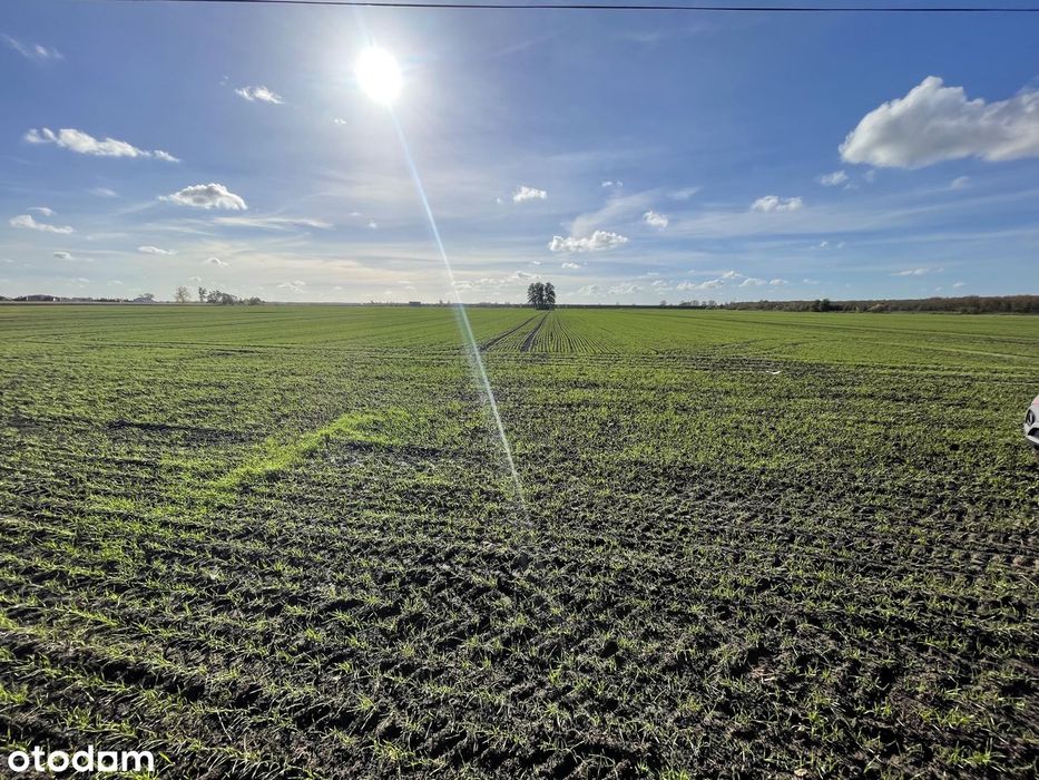 Działka 31 673 m² pod inwestycję na sprzedaż