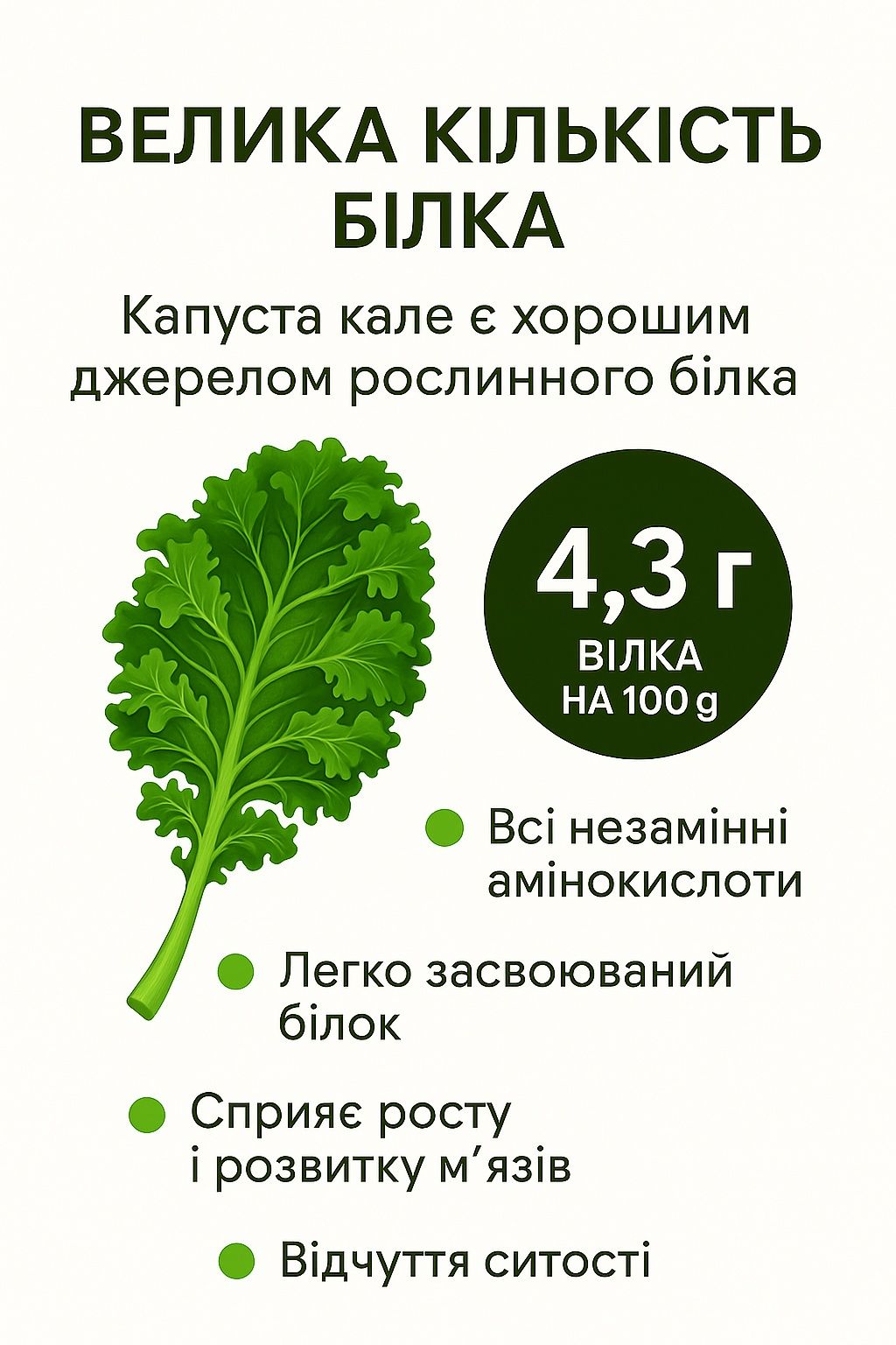 Порошок капусти Кале(Кейл)– суперфуд для імунітету та енергії! 100% н