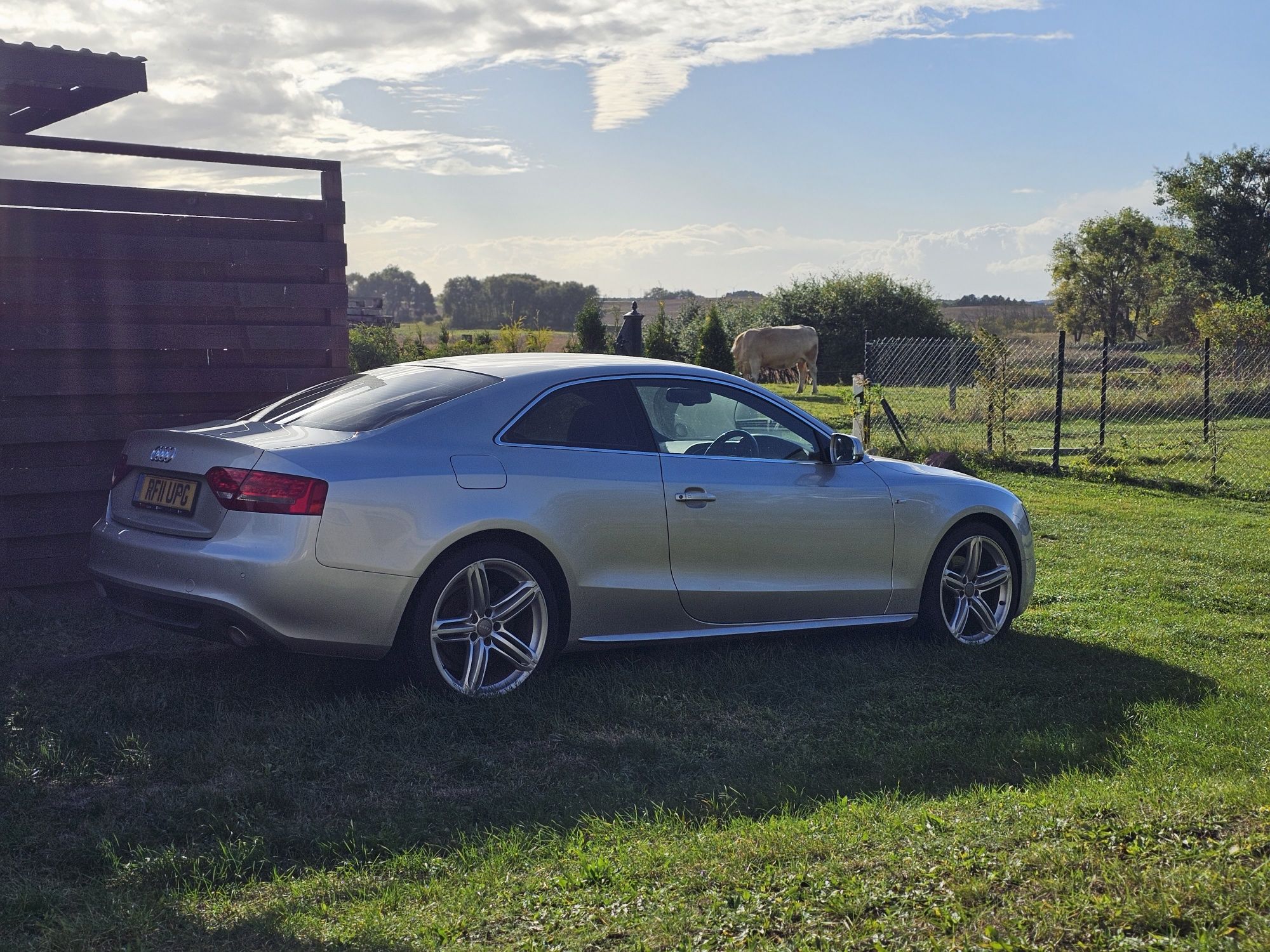 Audi A5 sline  3.0 tdi CCWA chip 300km, LX7W na części