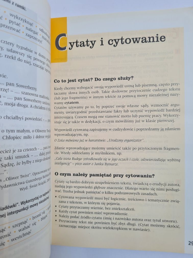 Gramatyka i stylistyka - Język polski. Podręcznik