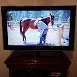 Vendo televisor Samsung de 40 polegadas