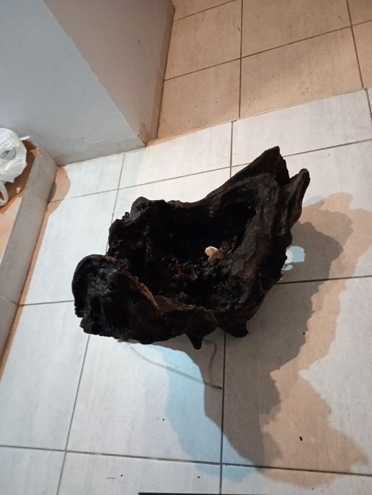 Korzeń do akwarium XXL 20kg !!!