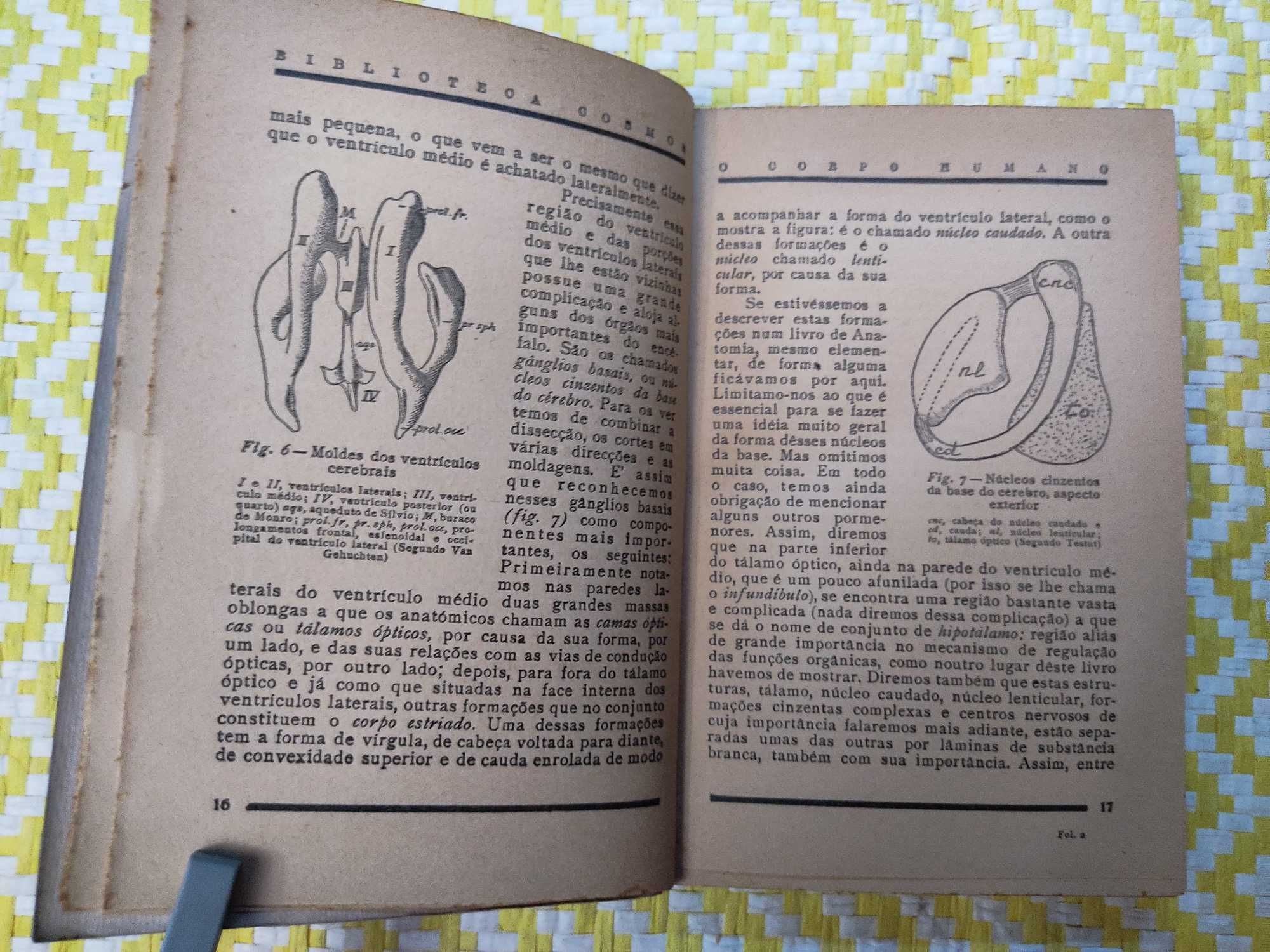 O corpo Humano – Sistema nervoso
Vol. III -IV
A. Celestino da Costa