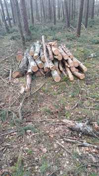 Drewno opałowe 100 zł
