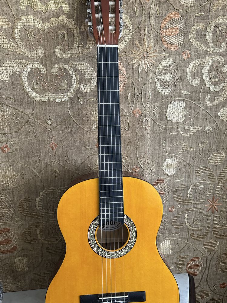 Viola Nova em optimo estado + Afinador + 1 palheta
