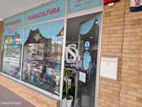 Loja Não definido em Vieira do Minho