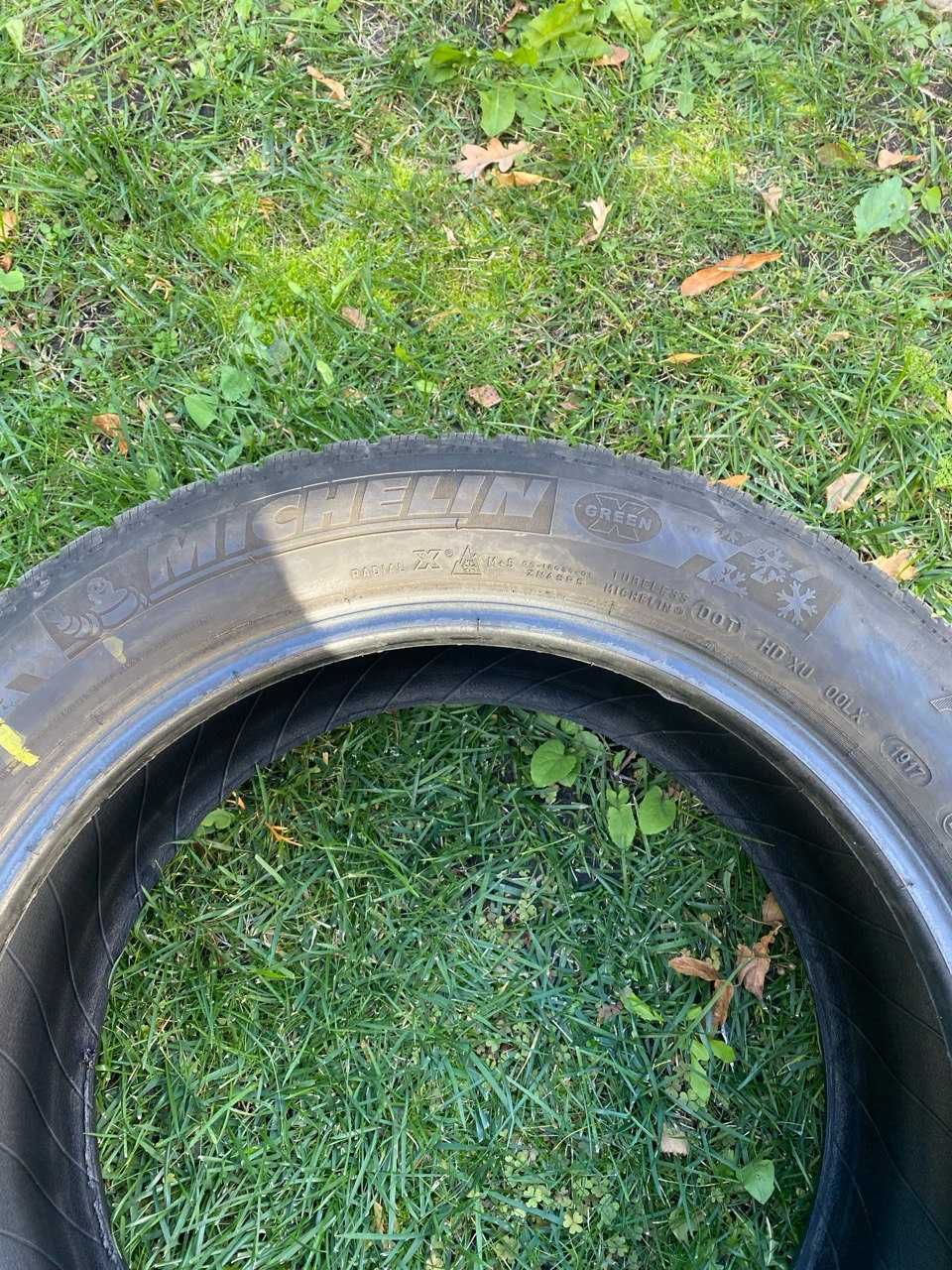 Шини Michelin Green X Pilot Alpin 245/50/R18