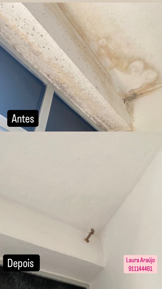 Limpeza domestica