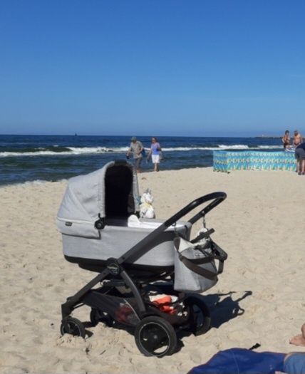 Wózek Peg Perego book 51S