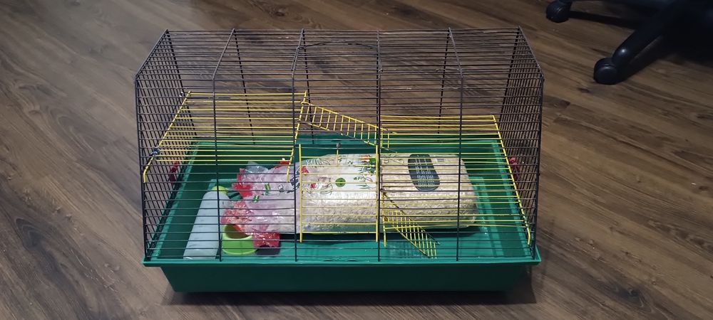 Клітка для криси