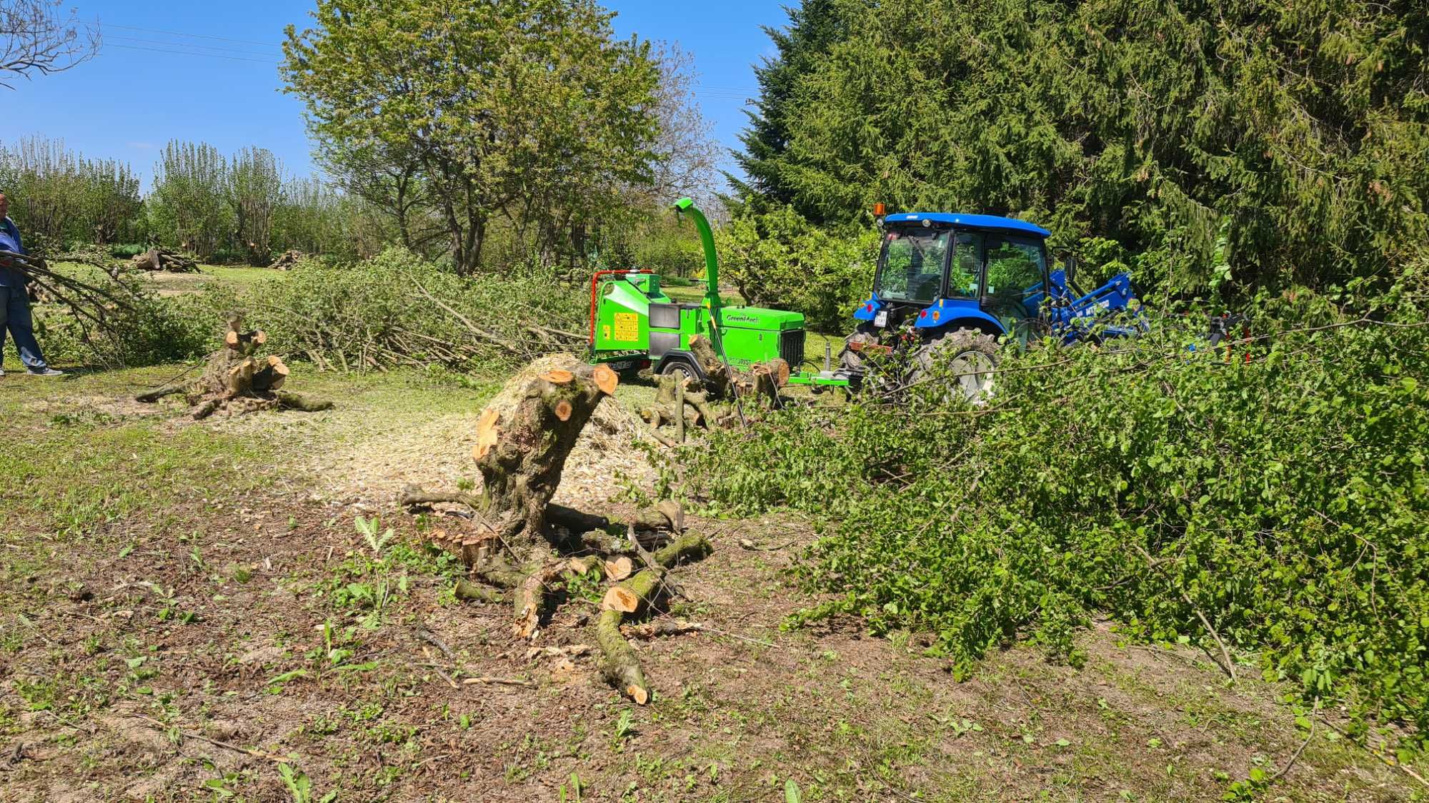 Wycinka drzew i krzewów, zwyżka