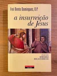 A Insurreição de Jesus - Frei Bento Domingues (portes grátis)