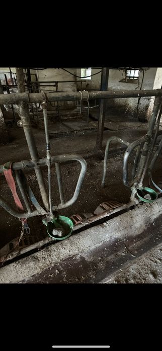 Ciągnik Ursus c330-m