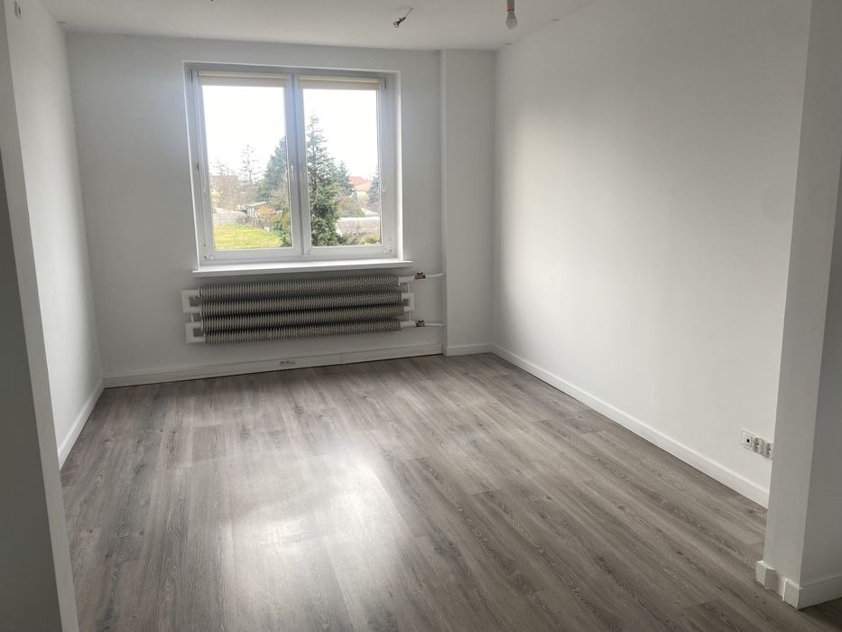 Lokal do wynajęcia Witkowo