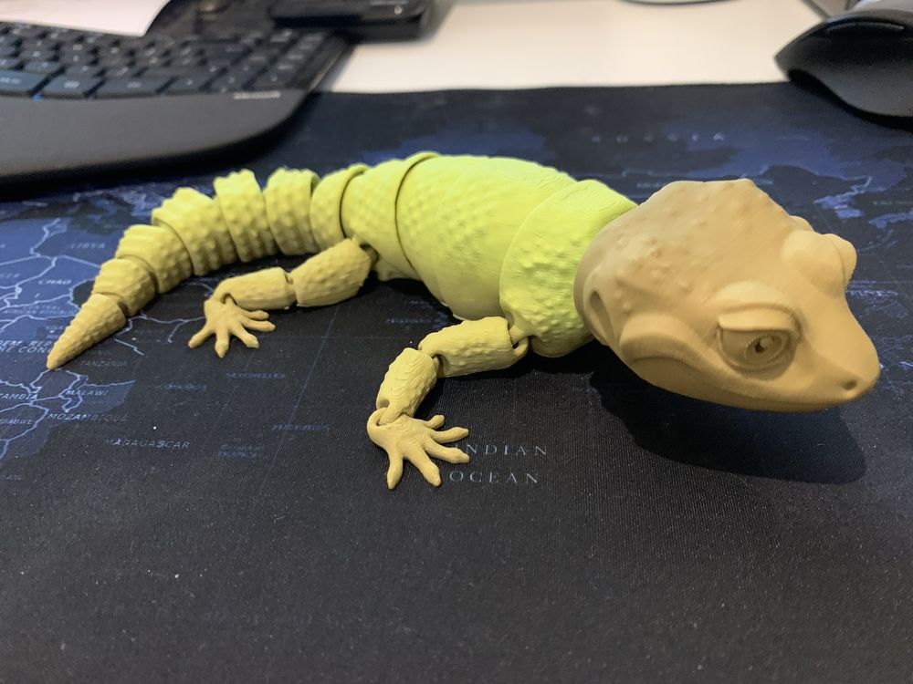 Gekon wydruk 3D ruchomy