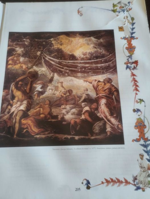 Bíblia Sagrada Antigo Testamento Ilustrado 2 volumes