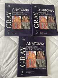 Anatomia Gray Tom 1-3 podręcznik dla studentów