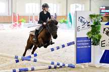 Kucyk grupy A0, do wprowadzenia do sportu