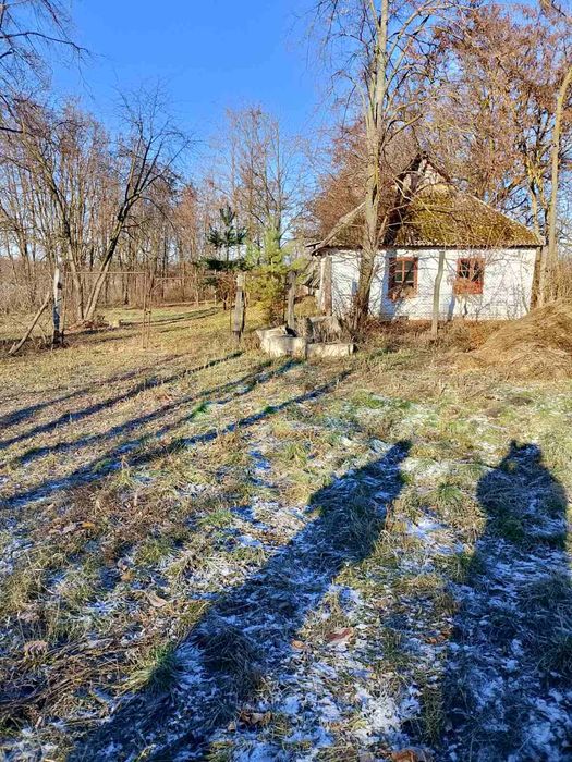 Продам земельну ділянку в місті Узин.