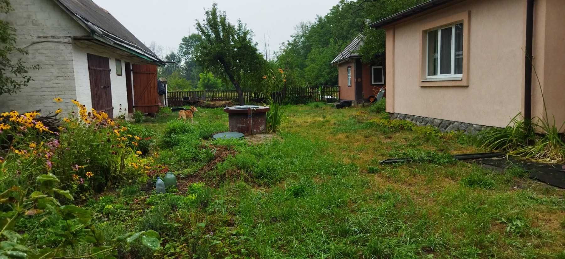 Продажа дома 85,5 м Большая Севастьяновка  Уманский р-н Черкасская обл