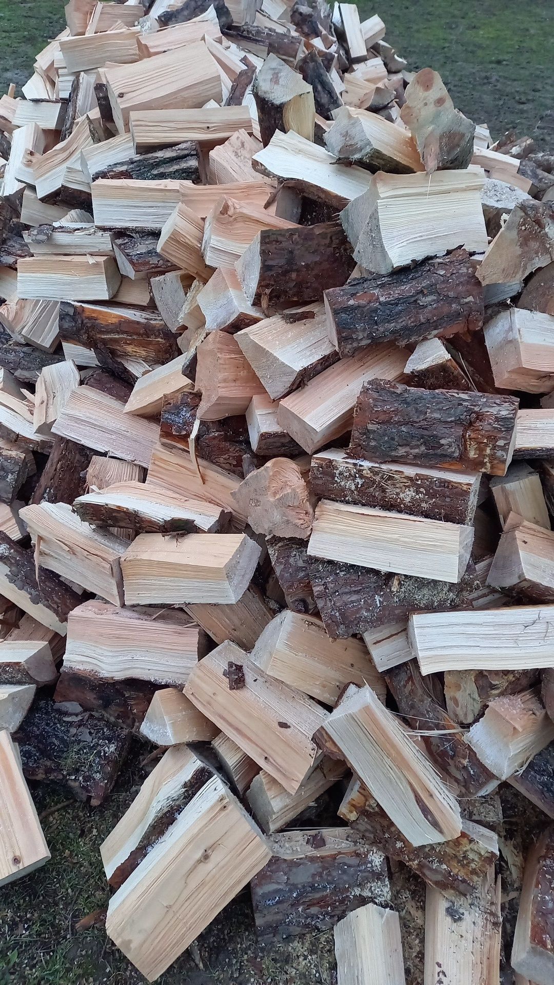 Drewno opałowe dąb-akacja-klon, sosna