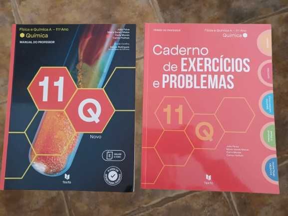 Dossier do professor do Manual 11Q