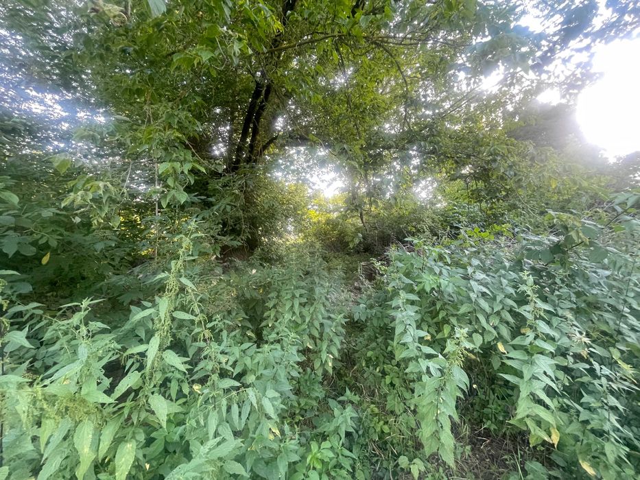 Земля, що працює на вас: 6 соток для максимального прибутку! HH